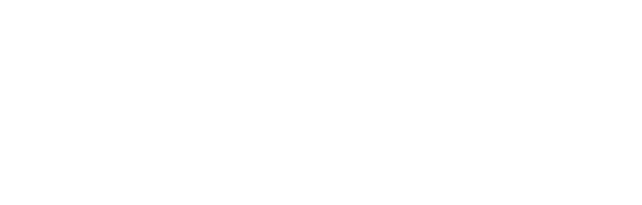 Diginova